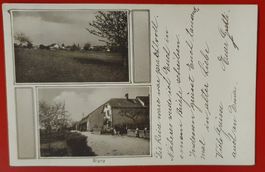 Signy 1921