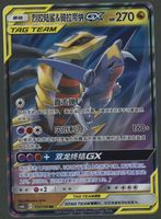 Cynthia & Garchomp GX RR Tag Team CH ab 1.-