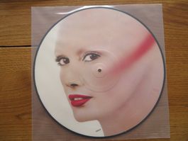 FACE PICTUR LP