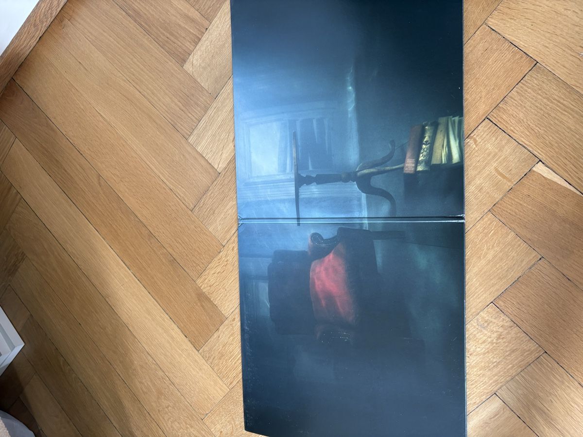 Schallplatten: Hozier Vinyl – Gebraucht aus Basel von batuhancocel 1