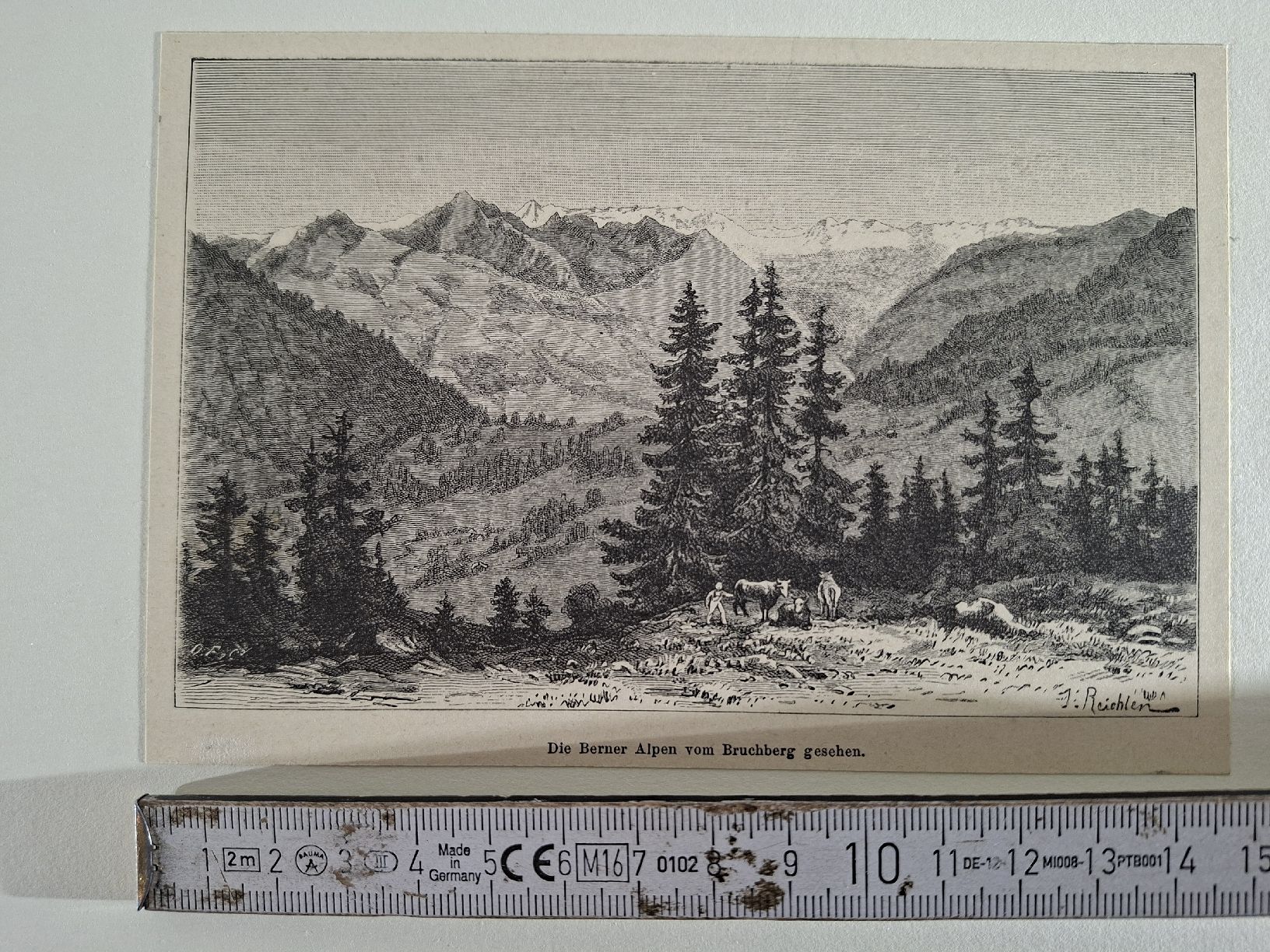 Incisioni: Lot 46   10 Stiche – Usato da Grindelwald venduto da carro5 2