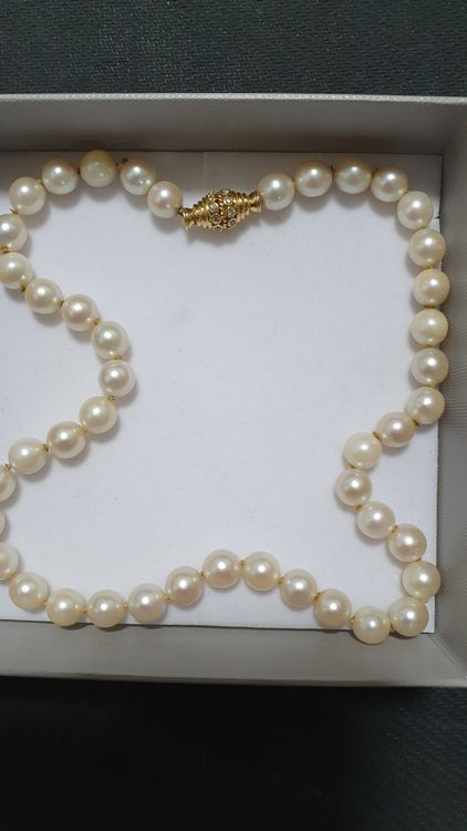 Beau collier de la marque Pilgrim - Halskette | Kaufen auf
