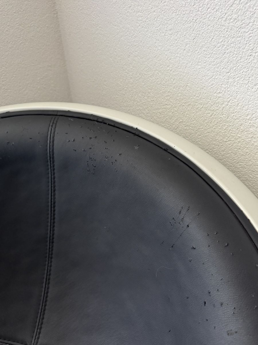 Poltrone: Egg Pod Chair Style Eero Aarnio Schwarz/Weiss – Usato da Bern venduto da mikemikelehmann 3