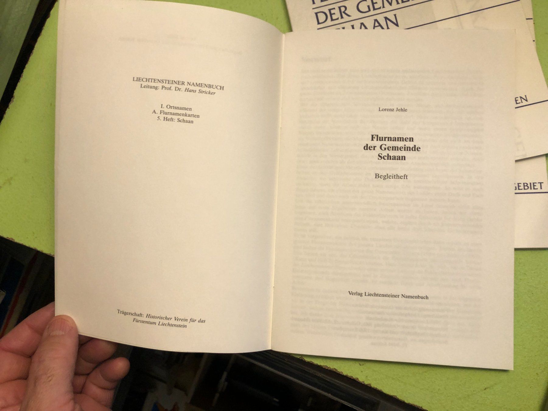 Tinte: Lorenz Jehle: Flurnamen der Gemeinde Schaan. – Usato da Zürich venduto da allp 2