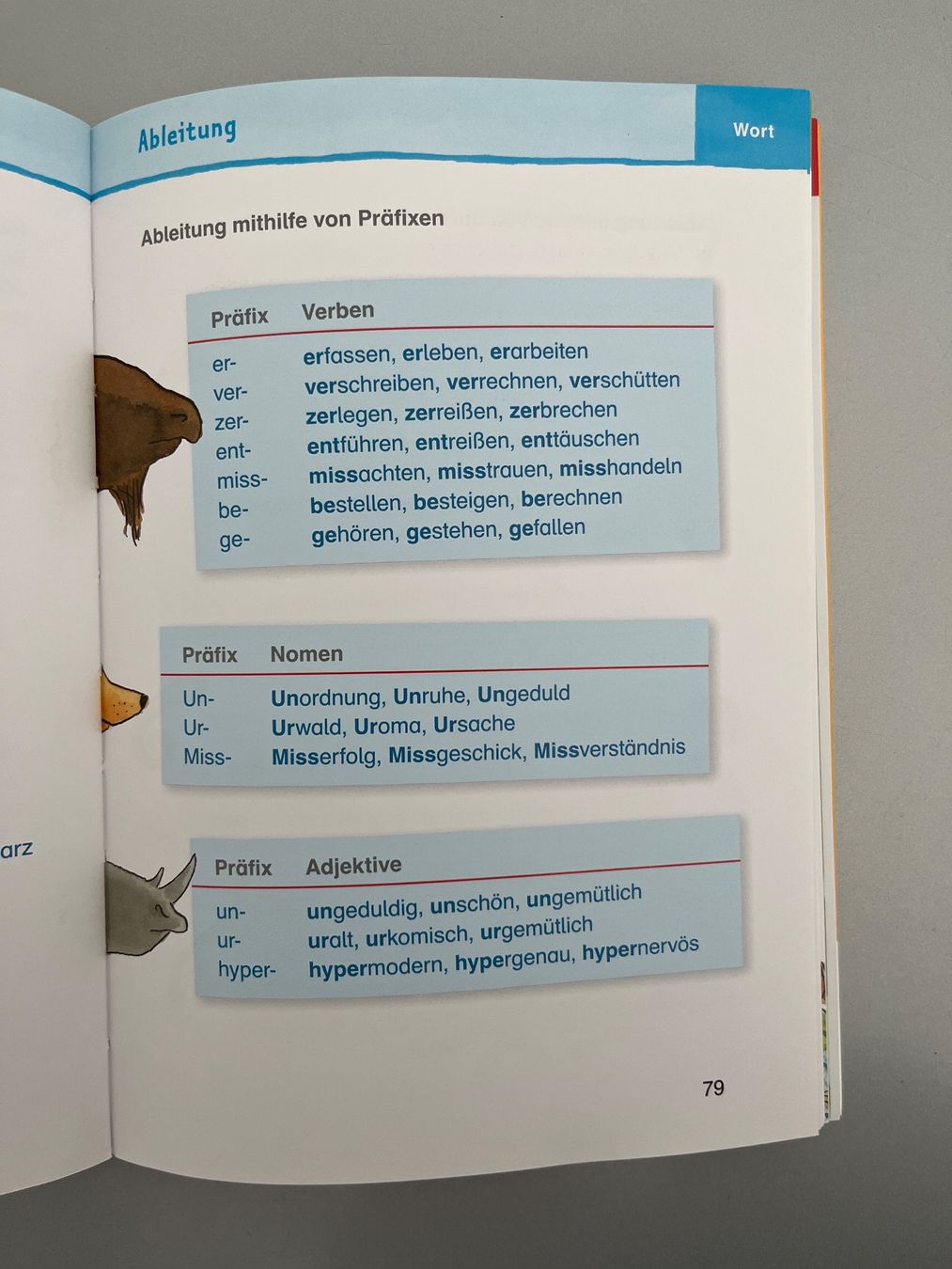 Libri: Grundschulgrammatik Duden neuwertig – Nuovo (secondo la descrizione) da Unterägeri venduto da flu_zp5d 7
