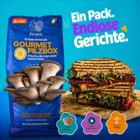 Bio-Pilzzuchtset Gourmet – Geschenk für Geniesser