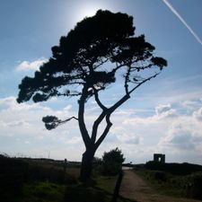 Profile image of Parago