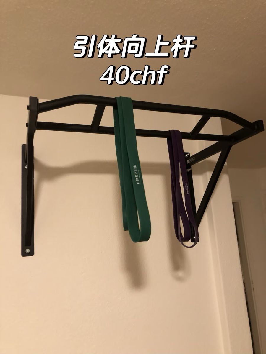 Decathlon Hometrainer: corength pull up bar – Nuovo (secondo la descrizione) da Schlieren venduto da qyh_yp7k