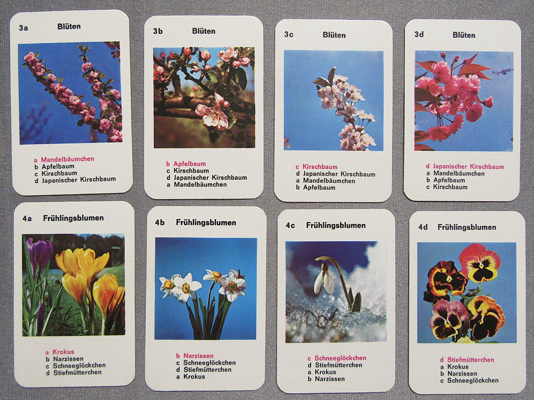 Giochi: Quartett  - Die schönsten Blumen - mit 32 Karten – Usato da Auenstein venduto da Padabimbim 3