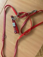 Winterliche Hundeleine mit Halsband, Hirschmotiv rot/weiss