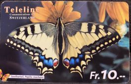 Teleline 30/06/2002