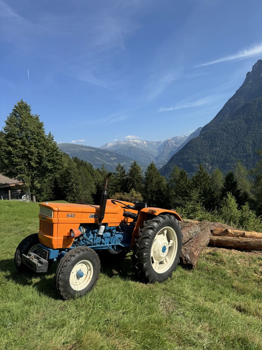 Fiat Trattori: Fiat 640 – Usato da Biasca venduto da mau_jyn2 4