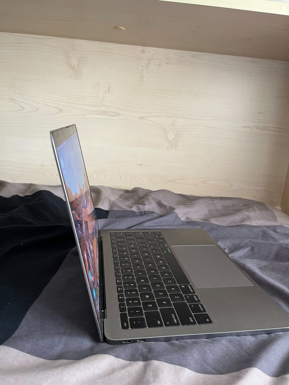 Apple Notebook: MacBook Pro 13-inch 2017 – Usato da Reinach BL venduto da mic_r6vk 3