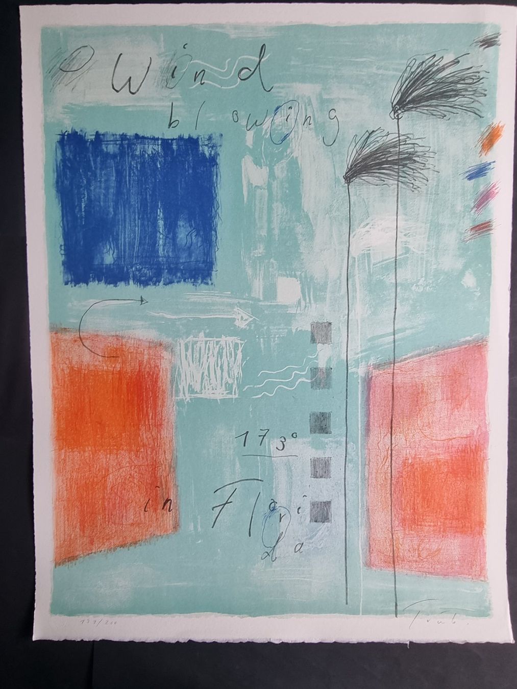 Grafica & Litografie: CHARLES TRÜEB LITHOGRAPHIE SIGNIERT NUMMERIERT – Usato da Gersau venduto da grafik-kunst