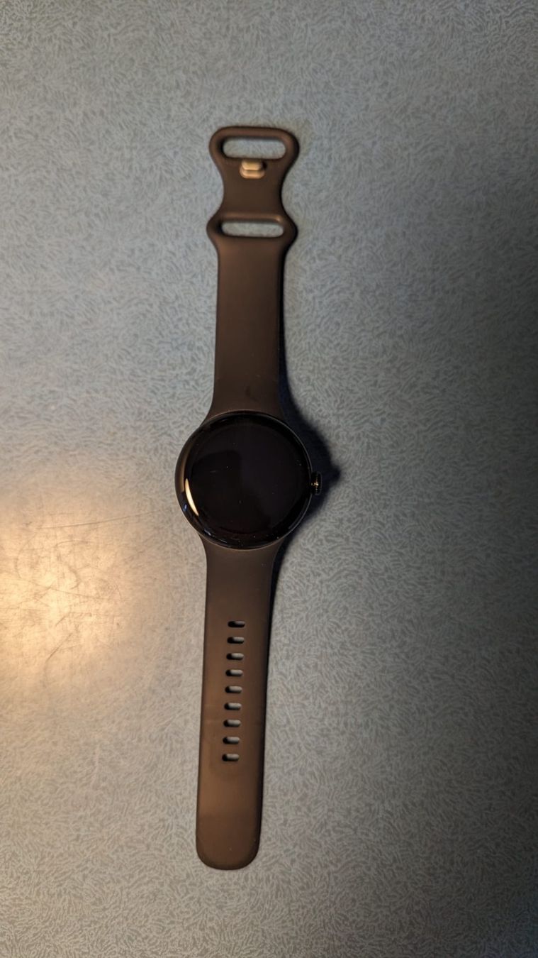 Google Smartwatch: Google Pixel Watch 2 LTE – Usato da Triesenberg venduto da ste_s5wz