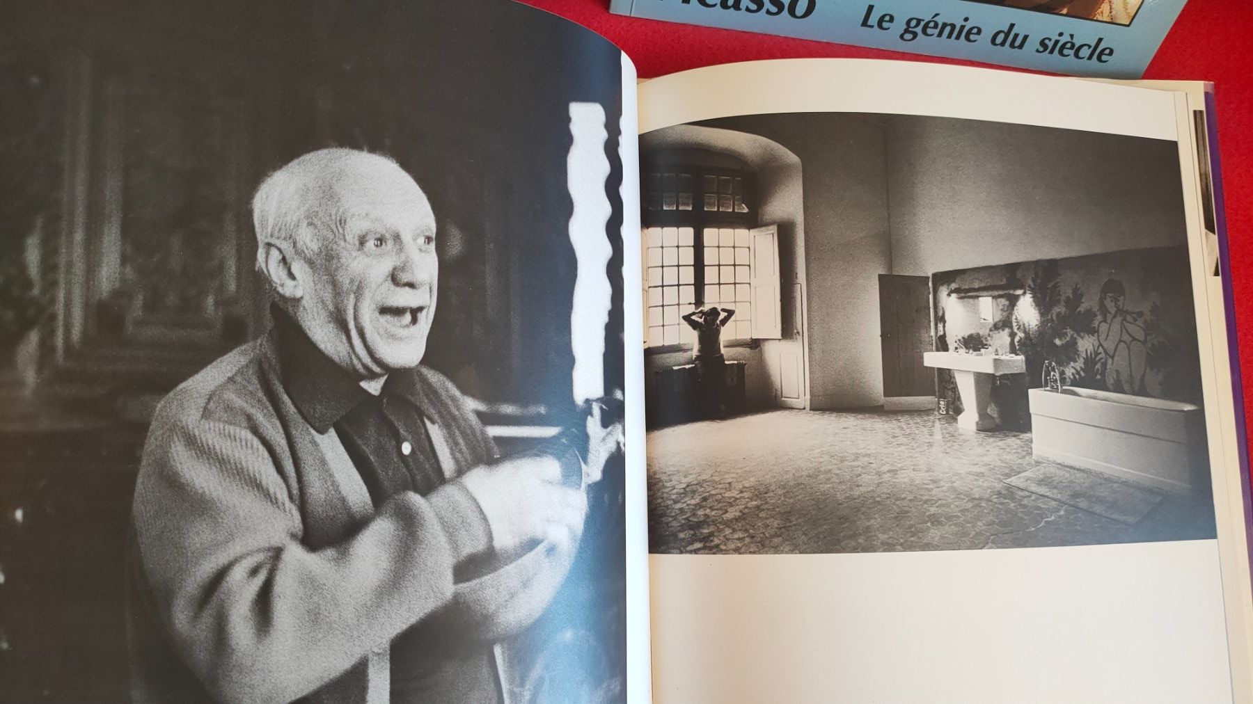 Bücher: Picasso – Gebraucht aus Crans-Montana von Camphill 6