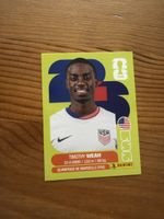Panini Sticker Timothy Weah USA 12