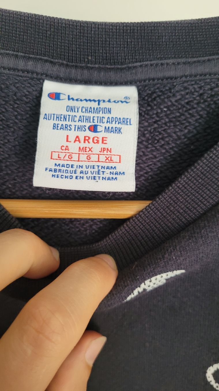 Champion Pullover & Sweatshirts: CHAMPION PULLOVER, LOGOPRINT – Gebraucht aus Zürich von mer_6tqg 2