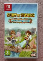 Nintendo Switch - Story of Seasons: A Wonderful Life