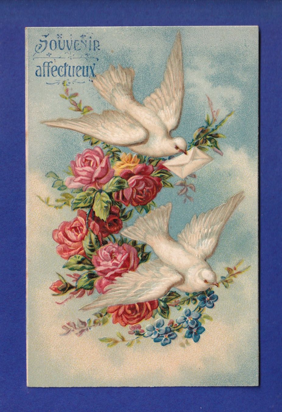 Cartoline postali: OISEAU - Colombes - Carte gauffrée – Usato da Pully venduto da nicecards-shop