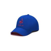 Frankreich FFF Mütze / Frankreich Cap