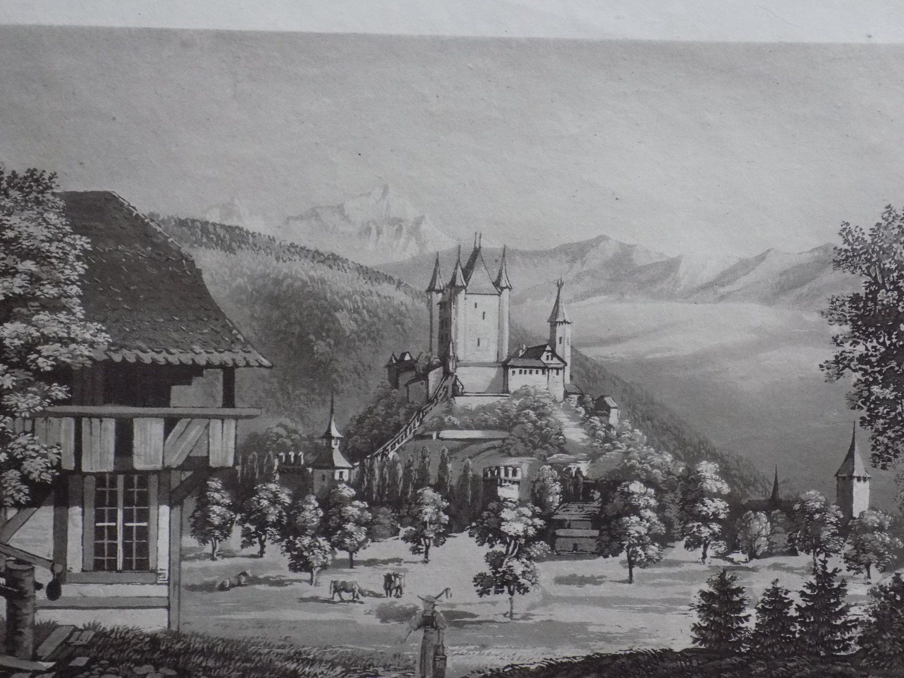 Incisioni: Thun Schloss – Usato da Risch venduto da Rischli15 1