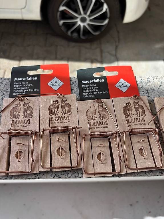 Käfige, Transport & Sicherheit: 24 Mausefallen teils neu – Gebraucht aus Kölliken von Womo61 2
