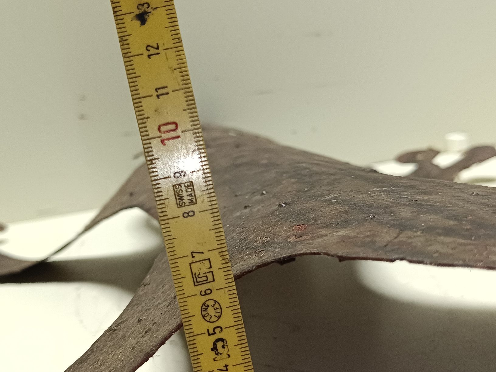 Statuette: Dekofigur Gecko Wanddeko(em339) – Usato da Künten venduto da Schnaepplihuus 8