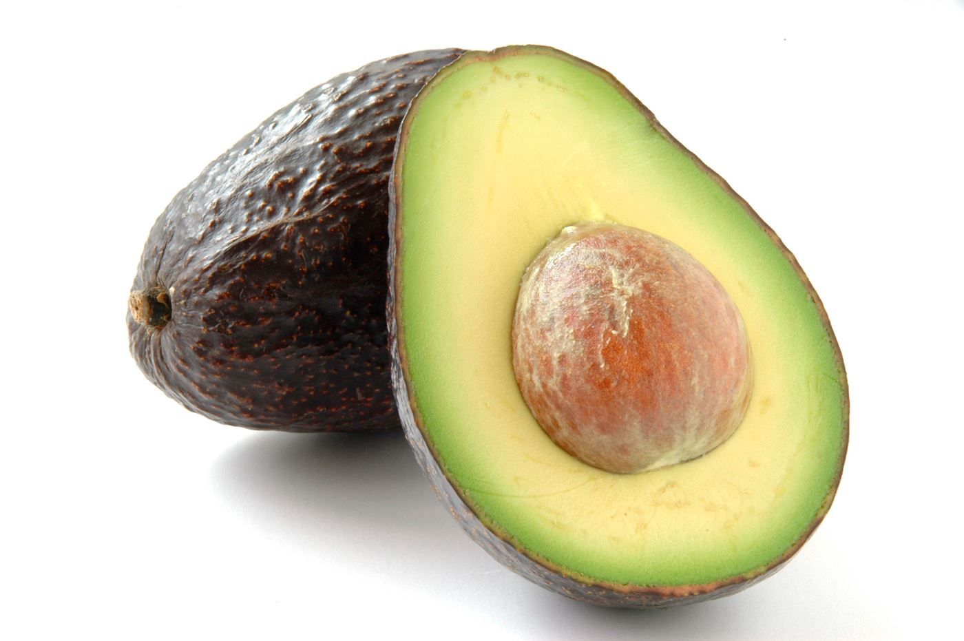 Piante & sementi: Avocadobaum - eine Pflanze! – Nuovo (secondo la descrizione) da Steffisburg venduto da Petroselium 1