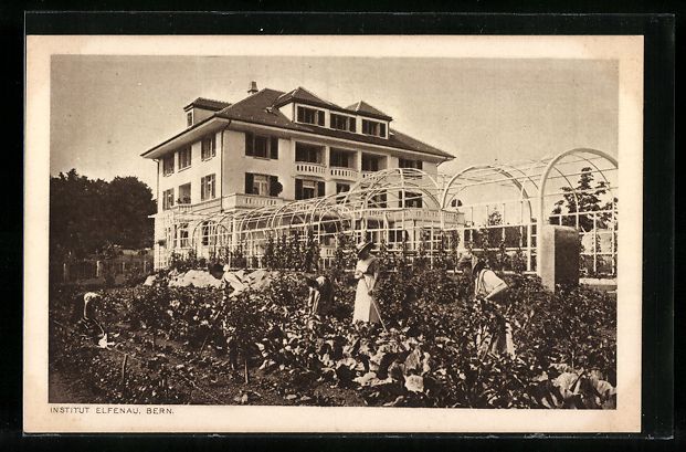 Ansichtskarten: Bern, Institut Elfenau, Gartenansicht mi – Gebraucht aus Berlin von bartko-reher