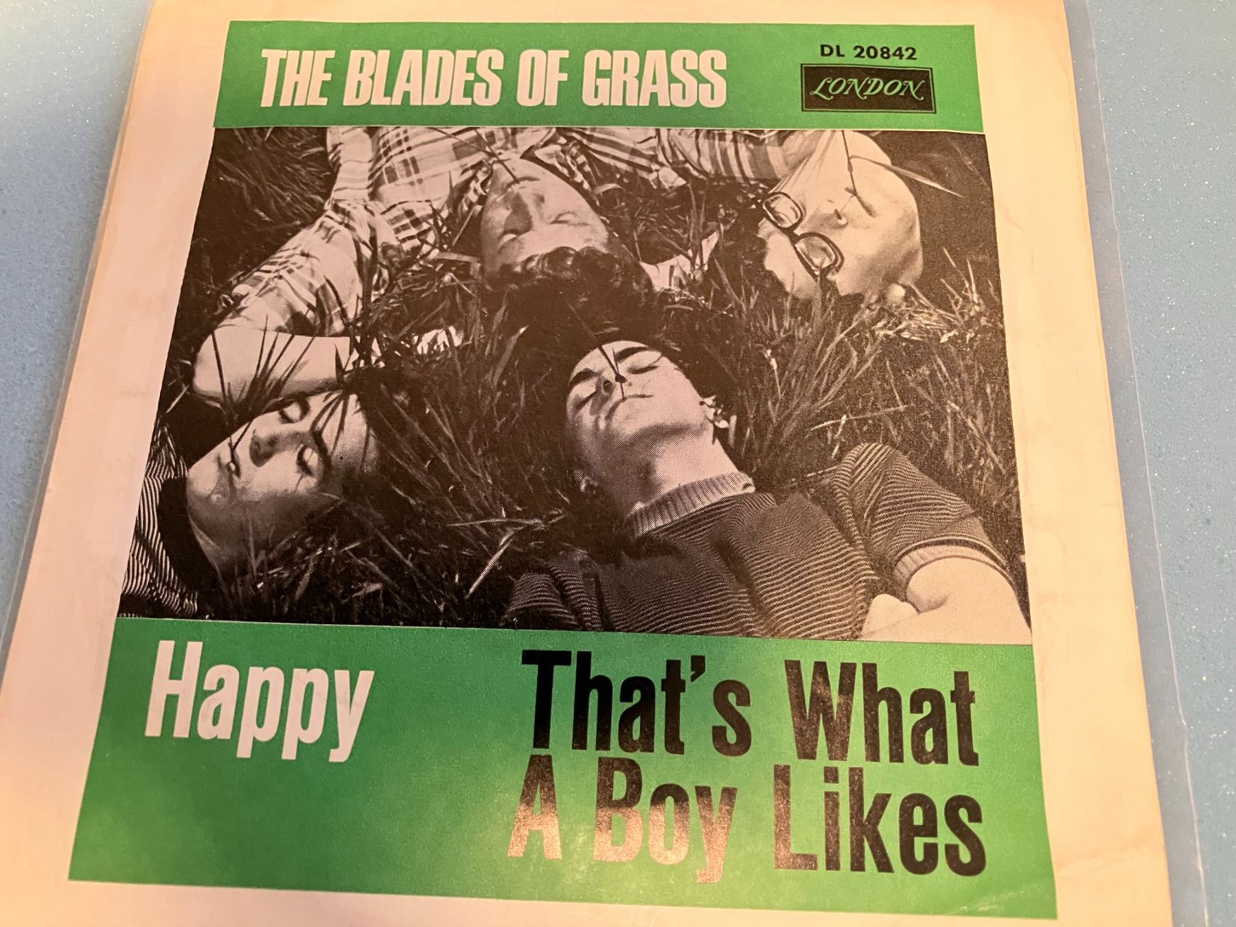 Dischi in vinile: The Blades Of Grass – Usato da Aarwangen venduto da Jukebox3 1