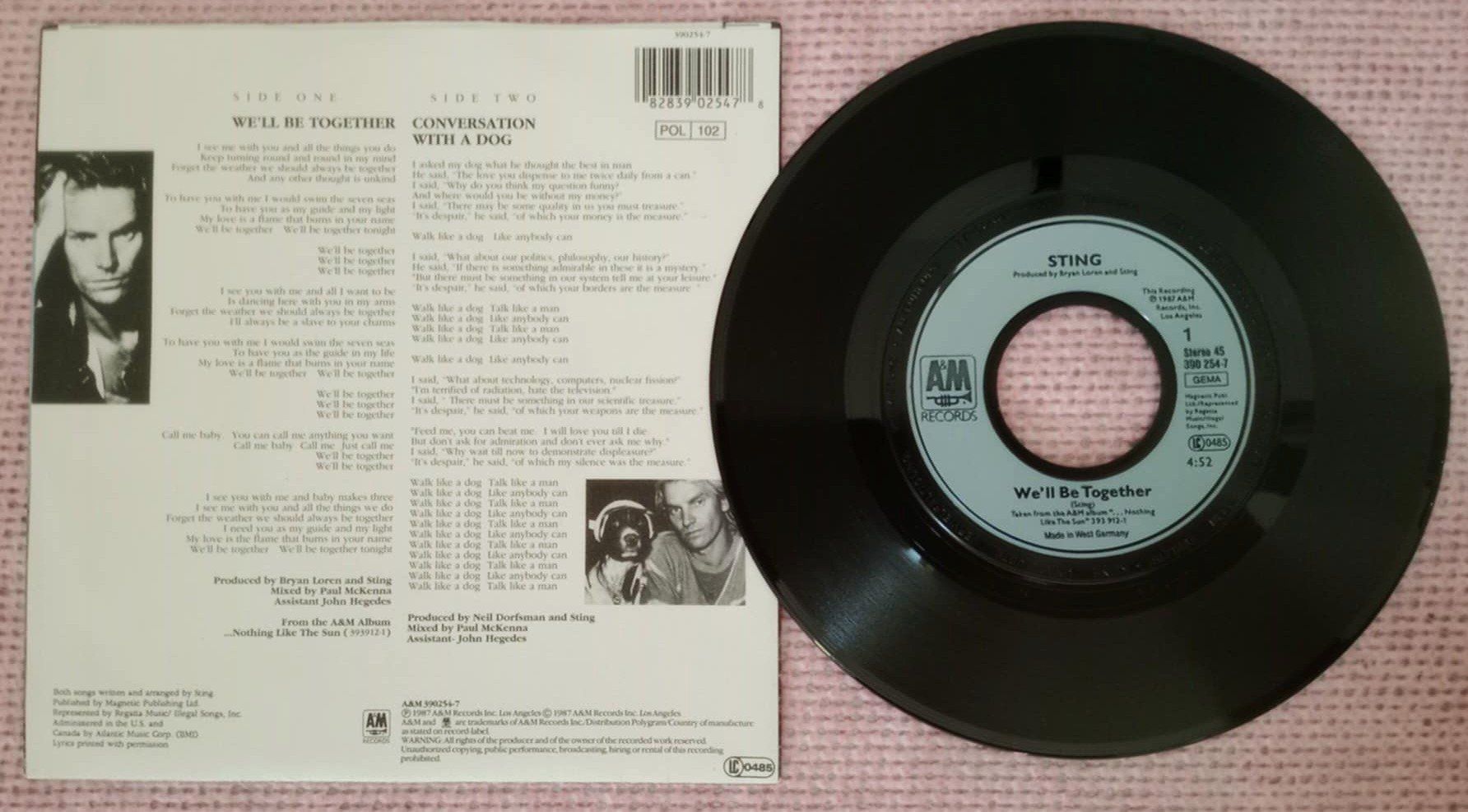 Dischi in vinile: STING - We'll Be Together - disque 7" vinyl 1987 – Usato da Le Locle venduto da borgespatricia 1