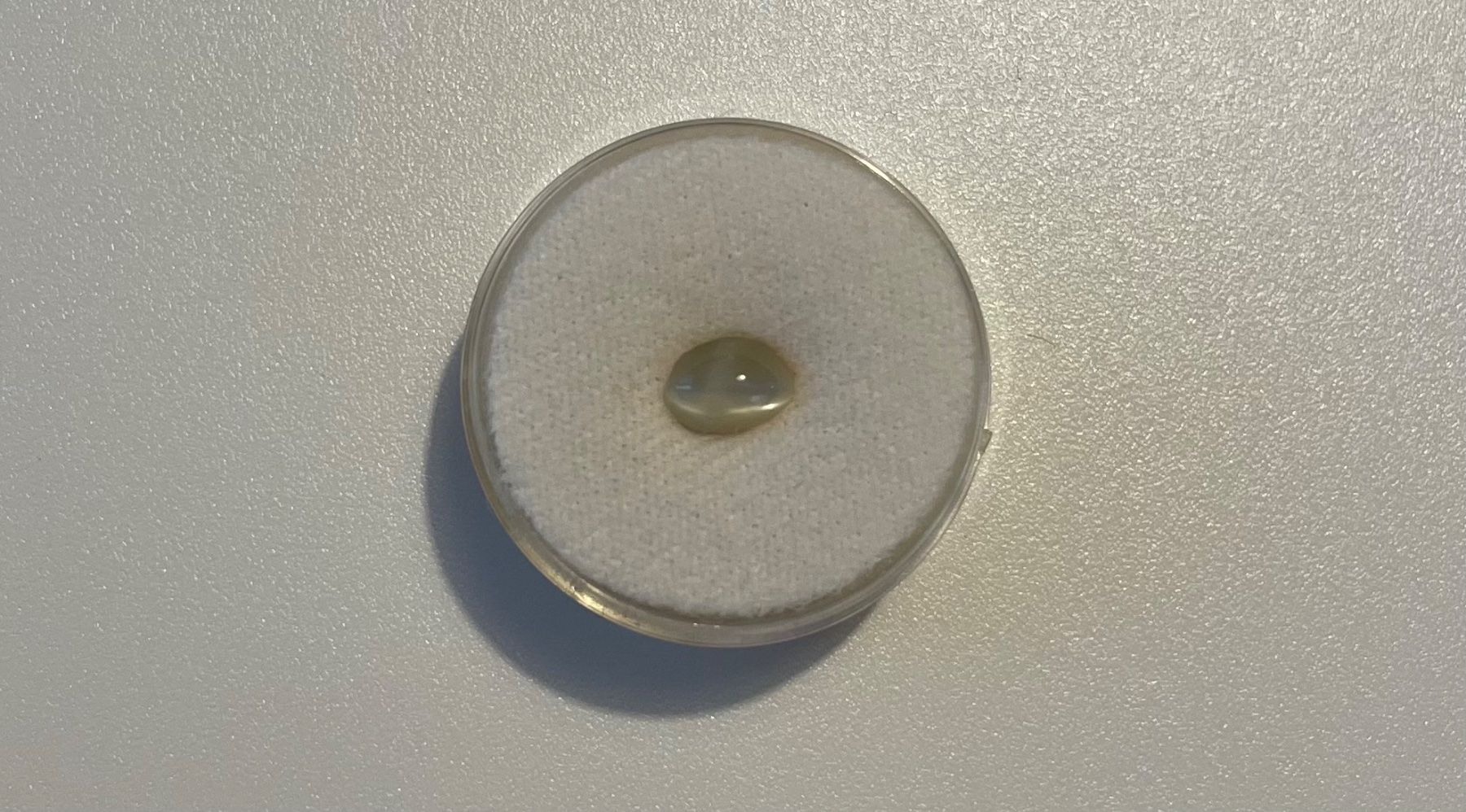 Edelsteine: Chrysoberyll Cat‘s Eye / 1.33 Karat – Gebraucht aus Wetzikon ZH von Nicitarasco