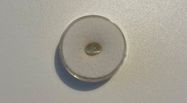 Chrysoberyll Cat‘s Eye / 1.33 Karat