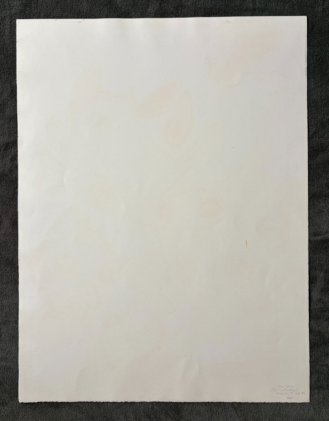 Grafica & Litografie: Hans Schärer, grosse Lithographie, signiert – Usato da Regensdorf venduto da JoergR 5