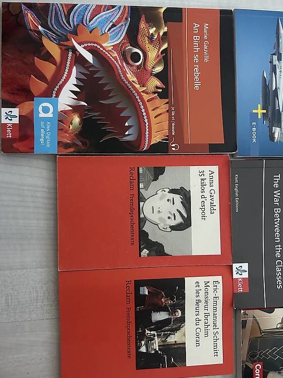 Libri: verschiedene Bücher, pro Buch 7.- – Usato da Chur venduto da zym_chk6 2