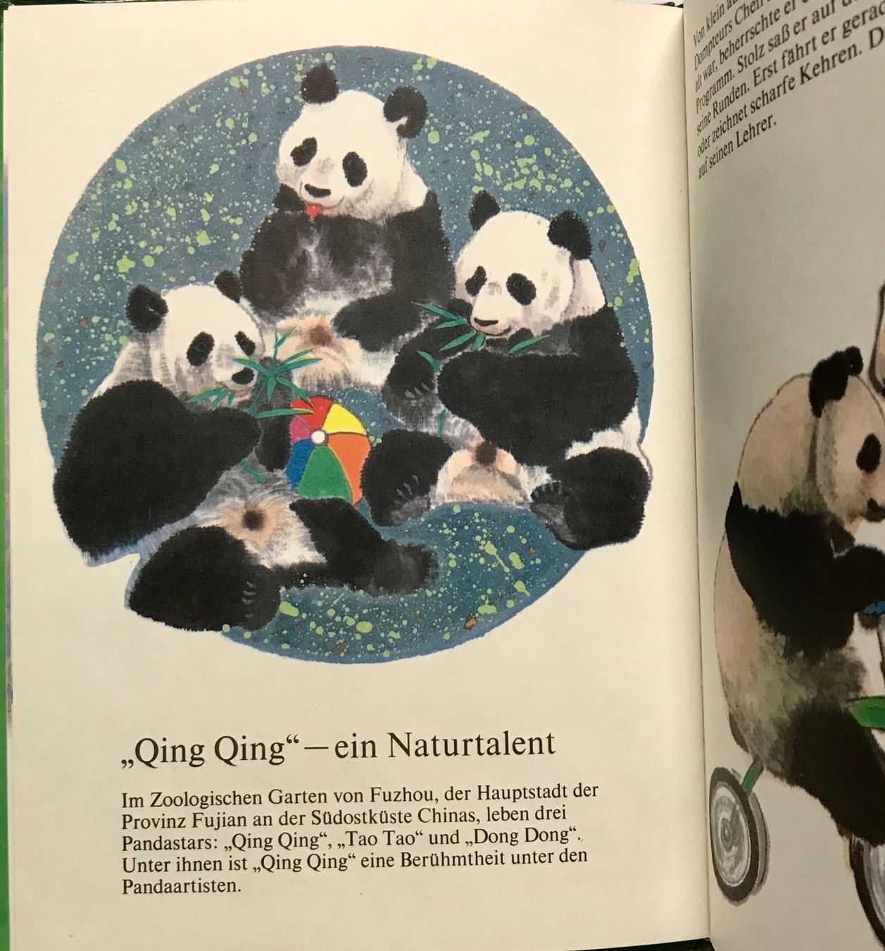 Libri: Aufführungsstar Pandabären – Usato da Sarnen venduto da Livres 2