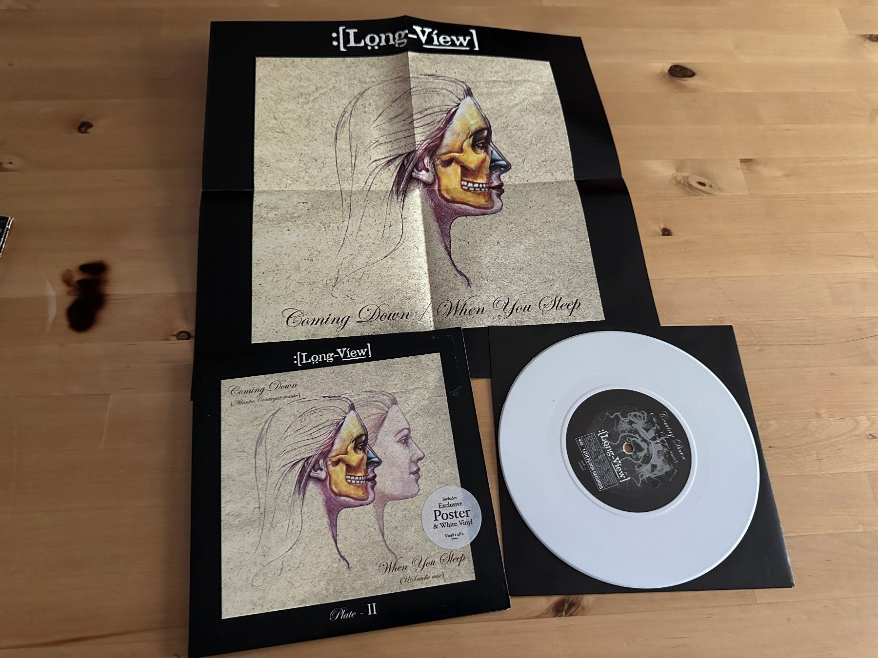 Vinyles: LONG VIEW LONG-VIEW Coming down Single Poster whity vinl neu – D'occasion à Basel par Partridge