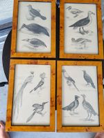 4er Set: Vintage Litho gerahmt, Top Zustand!. Rahmen auf Maß