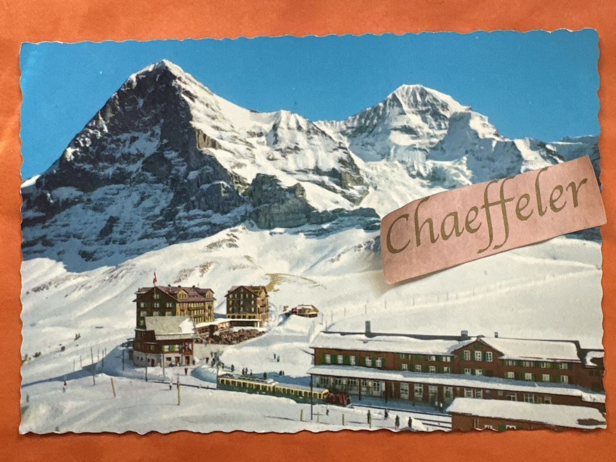 Cartoline postali: Postkarte Kleine Scheidegg mit Eiger und Mönch  – Usato da Zürich venduto da Chaeffeler