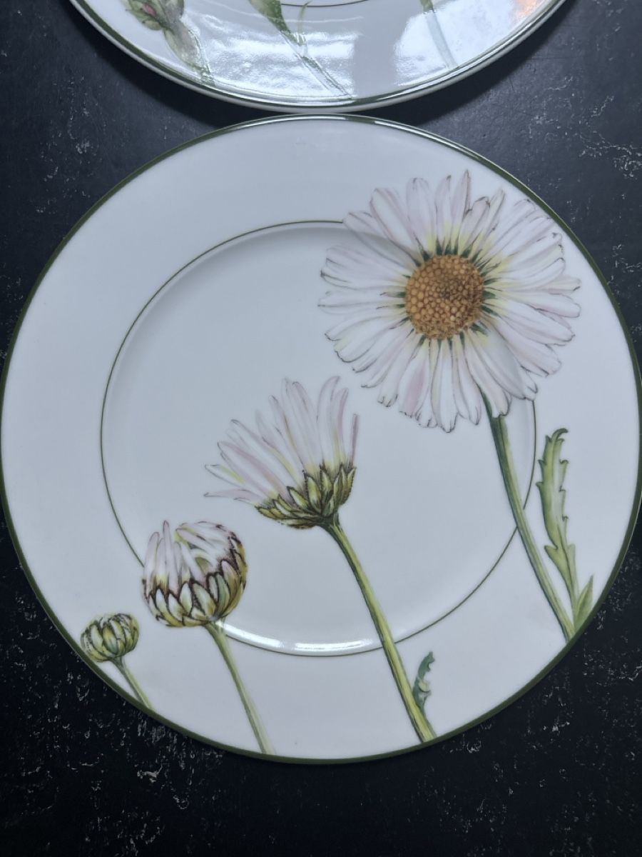 Villeroy & Boch Piatti: Villeroy & Boch Teller mit Blumenmuster 4 Stk  – Nuovo (secondo la descrizione) da Bern venduto da schnupka 1