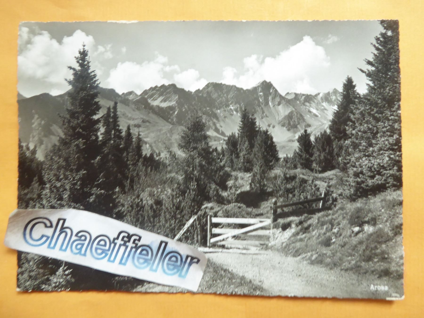 Ansichtskarten: Arosa – Neu (gemäss Beschreibung) aus Zürich von Chaeffeler