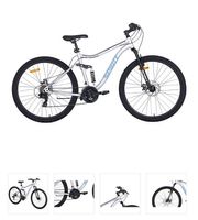 Fully Mountenbike 29" / Silbergrau