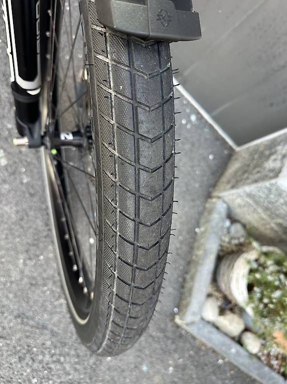Velos: E-bike Riese Müller Fully 45km/h  – Gebraucht aus Quartino von DiloUsato 7