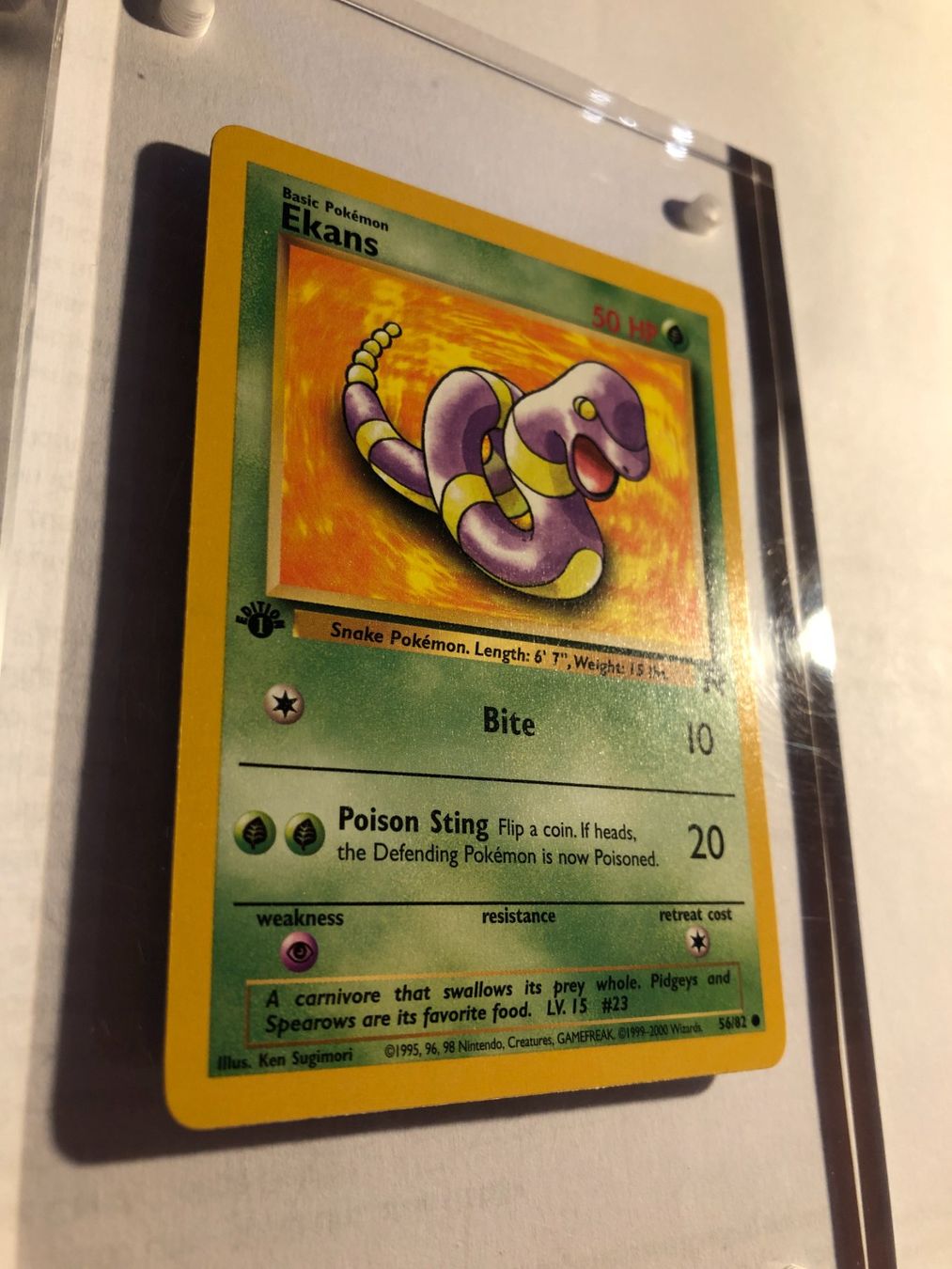 Carte collezionabili: Ekans 1st Team Rocket - MINT - ab 1.- – Usato da Giubiasco venduto da dan_pr8b 1