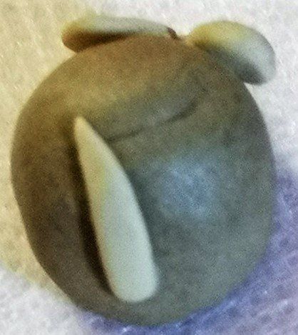 Statuette: Setzkasten Maus Keramik – Nuovo (secondo la descrizione) da Lutzenberg venduto da Truhe 1