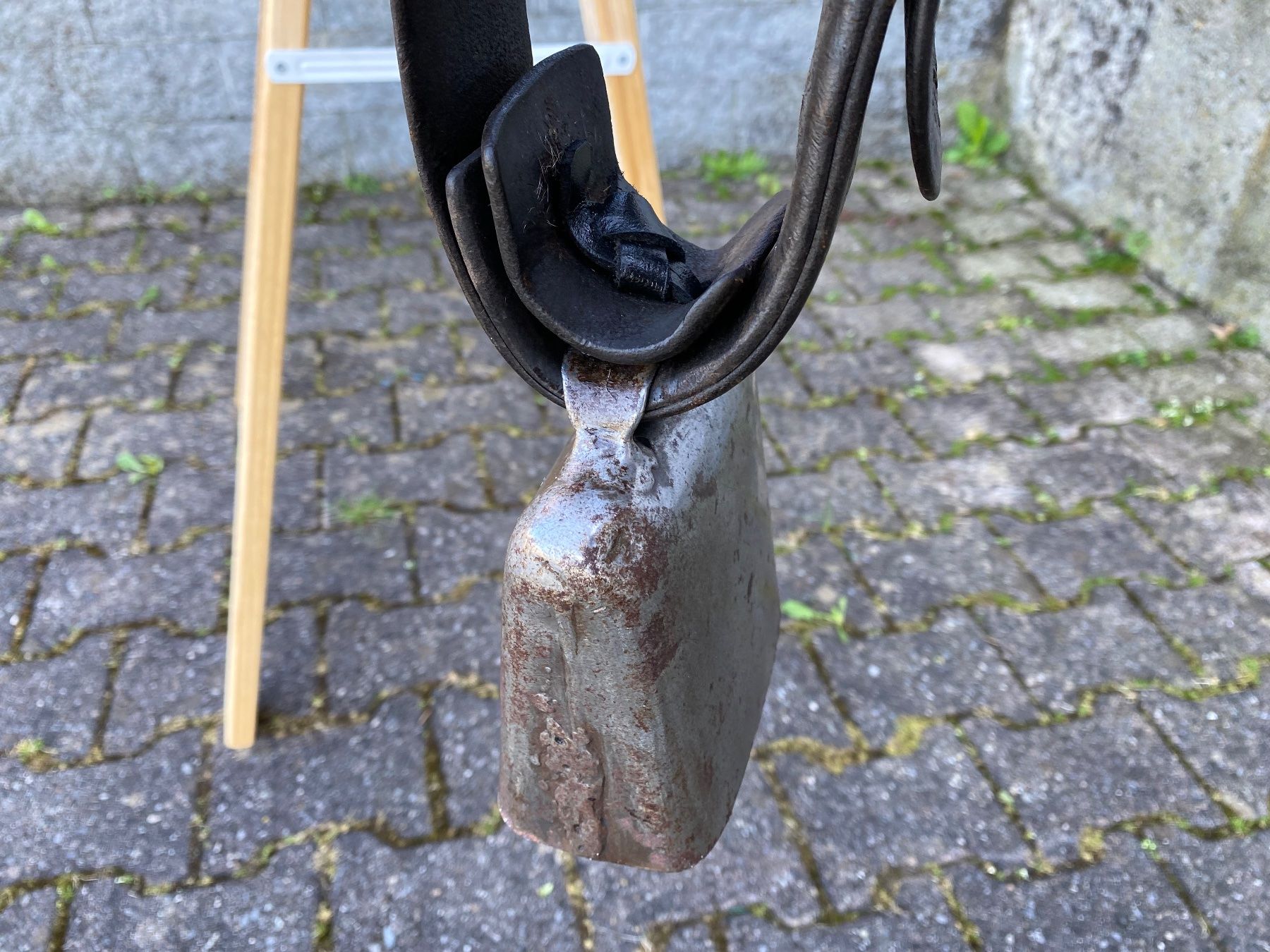 Campanacci mucche: schöne Schelbert Gotthard Bisse Nr. 5 – Usato da Feldbach venduto da Fea1 6