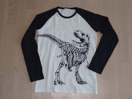 Longsleeve Langarm Shirt Gr 152 158 Dino