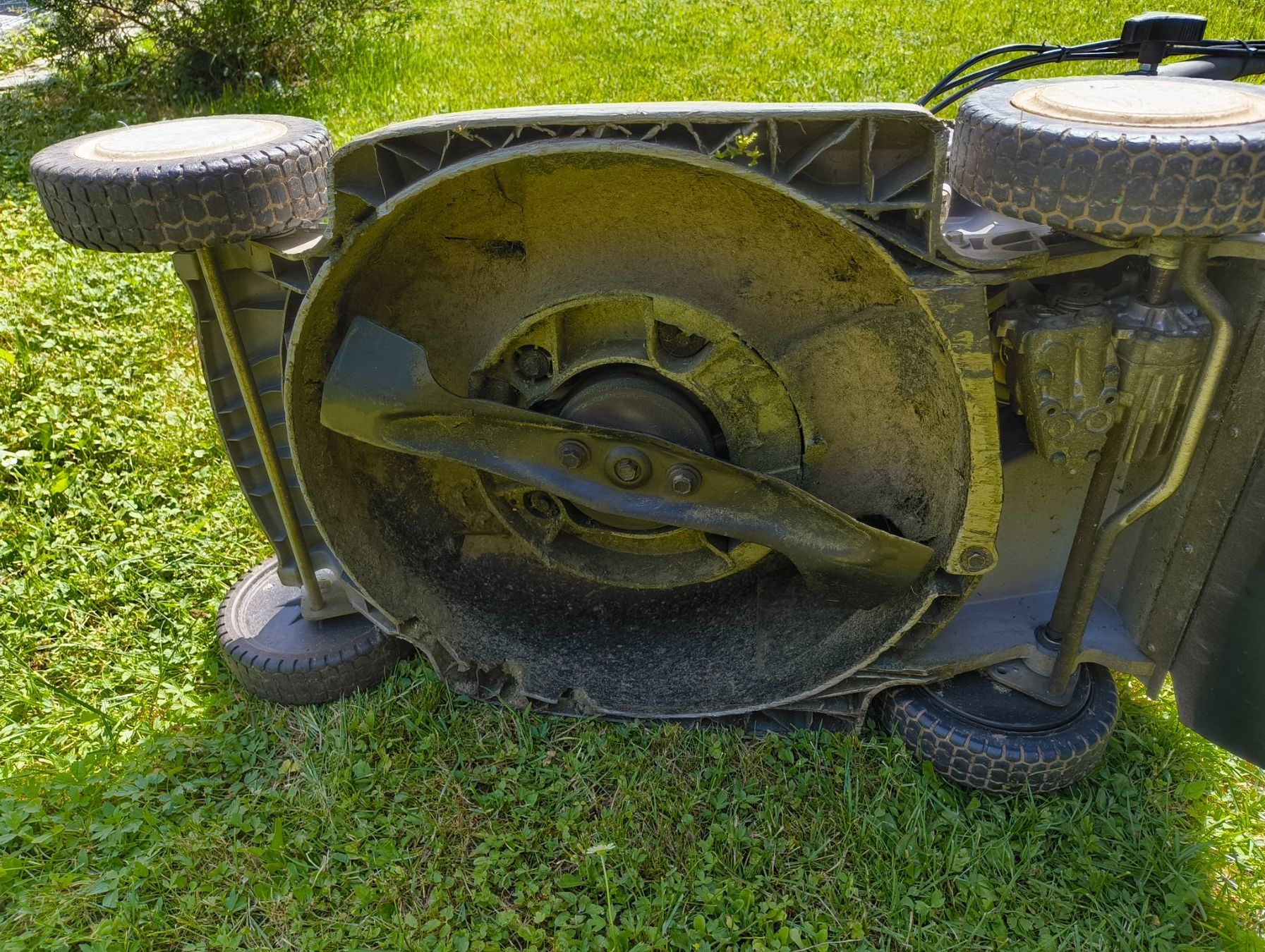Tagliaerba: Honda Rasenmäher – Difettoso da Rüti ZH venduto da Serie02 4
