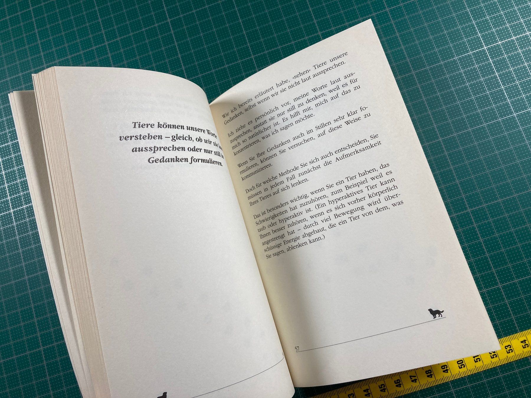 Libri: Judy Meyer: Mit Tieren sprechen – Usato da Lenzburg venduto da fh1 6